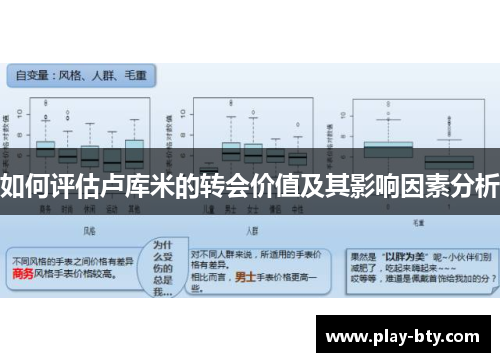 如何评估卢库米的转会价值及其影响因素分析