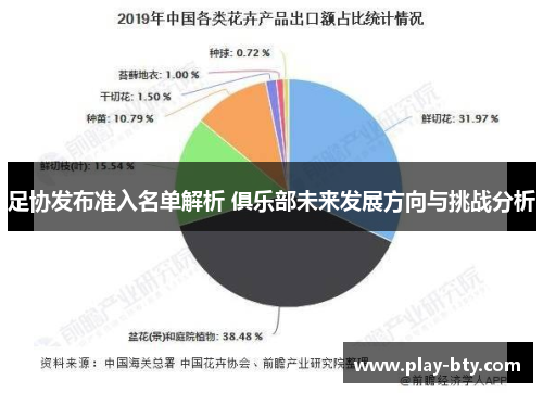 足协发布准入名单解析 俱乐部未来发展方向与挑战分析